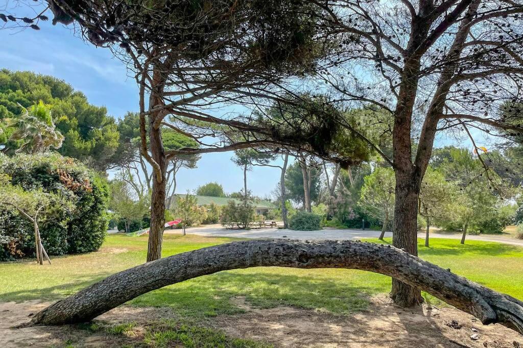Appartement En Residence Privee, Face A La Mer Avec Acces Direct Plage Hyeres Exterior photo