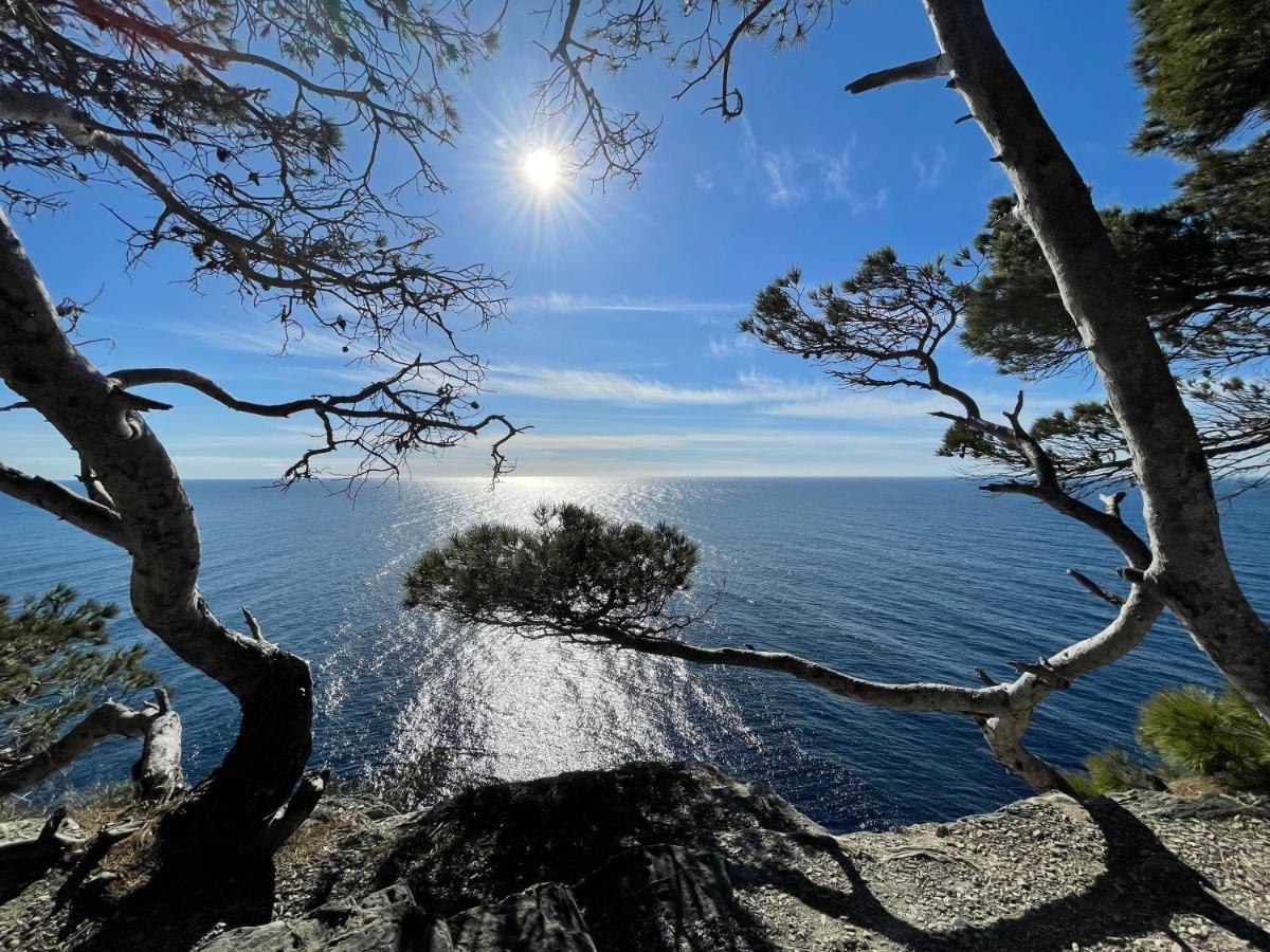 Appartement En Residence Privee, Face A La Mer Avec Acces Direct Plage Hyeres Exterior photo